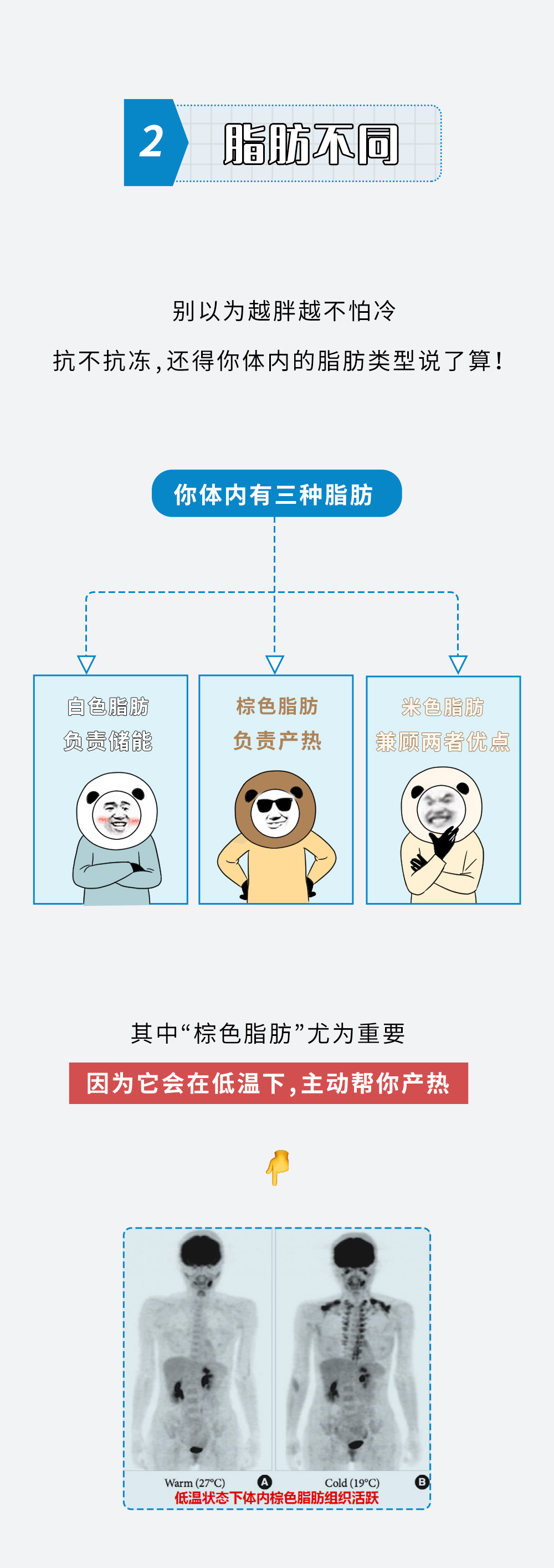怕冷的人和抗冻的人，身体究竟有啥区别？_百科TA说