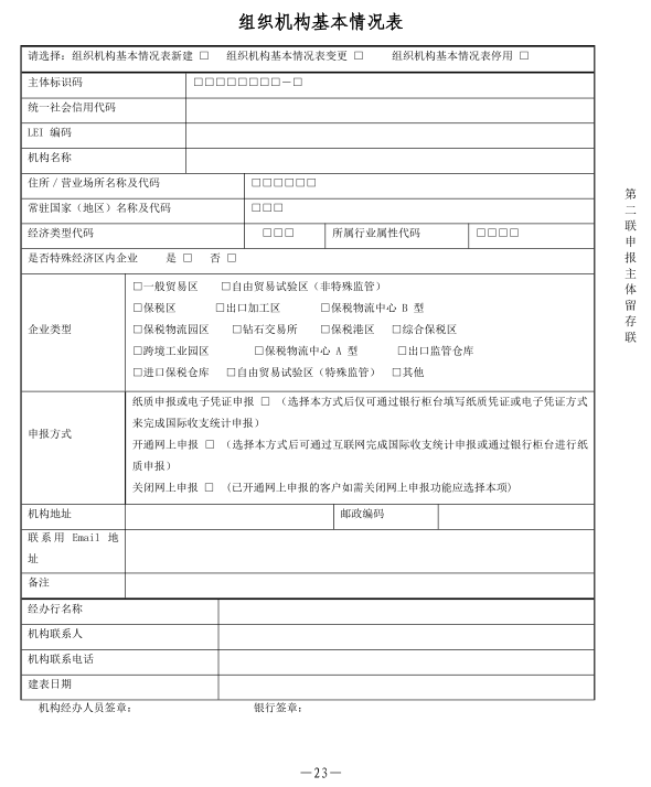 通过银行进行国际收支统计申报业务实施细则