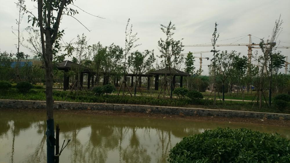 data-lemmaid="2549419">原阳县 /a>城南部,东与 a target="_blank"