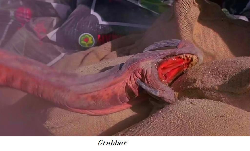 异形魔怪3tremors3:backtoperfection(2001)