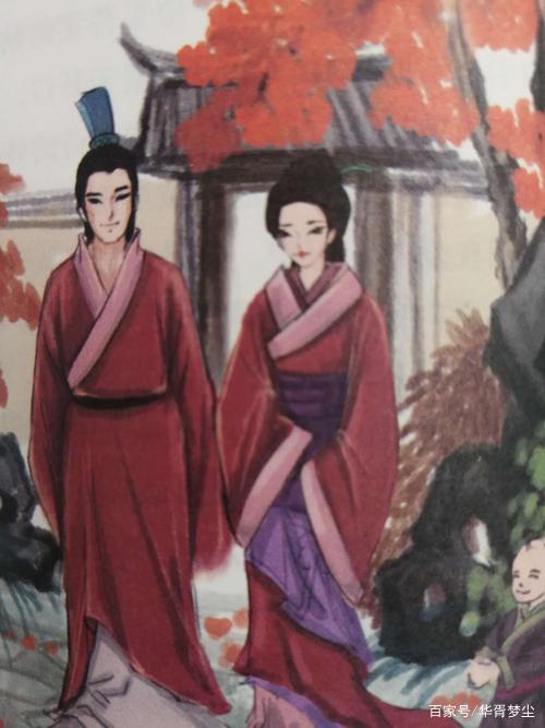 南有樛木，葛藟累之——《樛木》_百科TA说