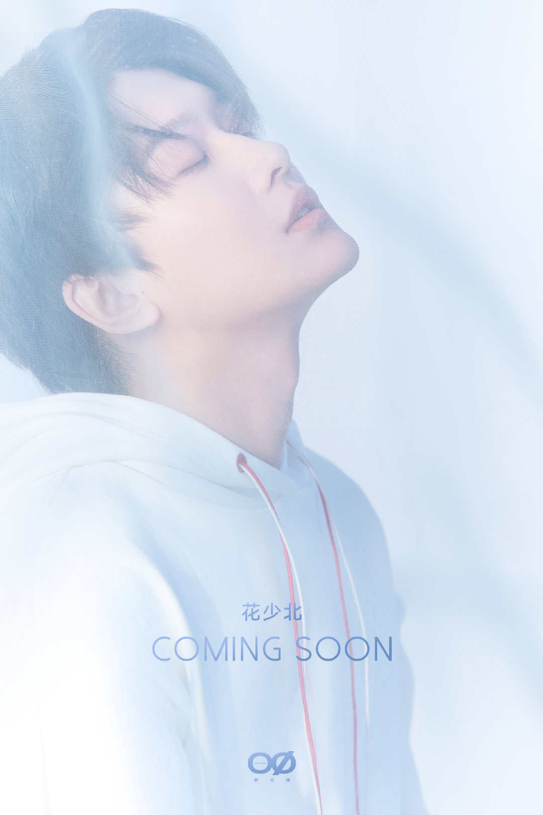  p data-id="go13233yqy">花少北丶, a target