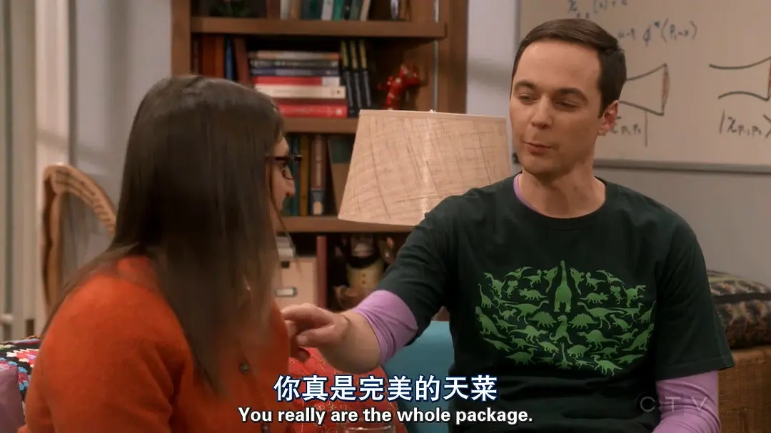 生活大爆炸第十一季