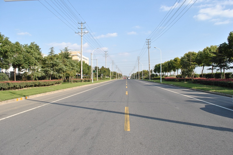 武汉市光谷现代服务业园,道路等级为支路,道路起讫点为花山大道至 a