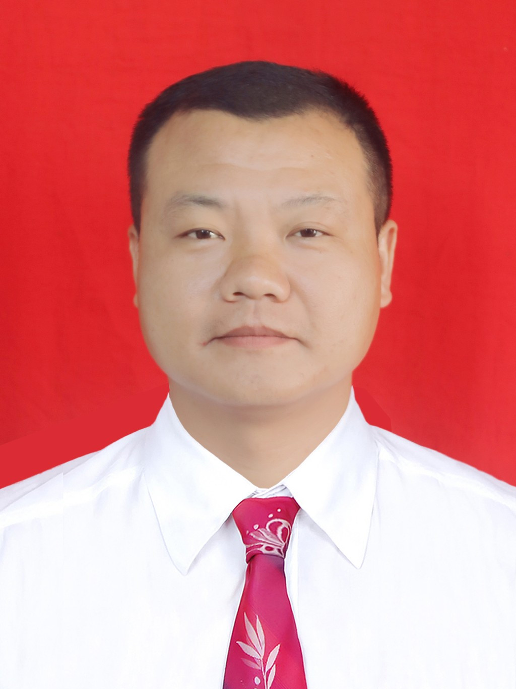  /p> p>现任株洲市渌口区龙潭镇党委副书记,镇长. /p>