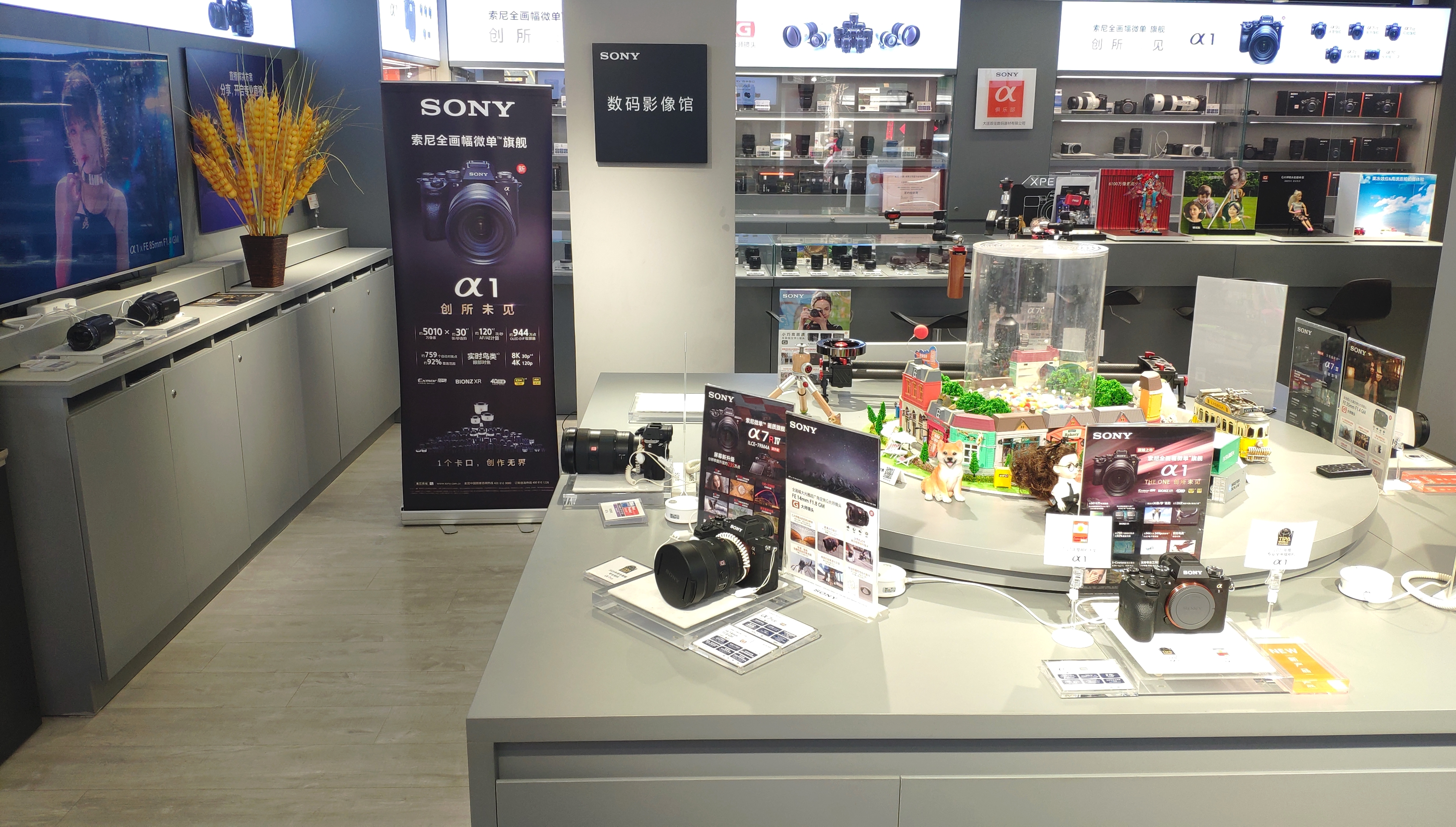 大连双佳数码器材有限公司