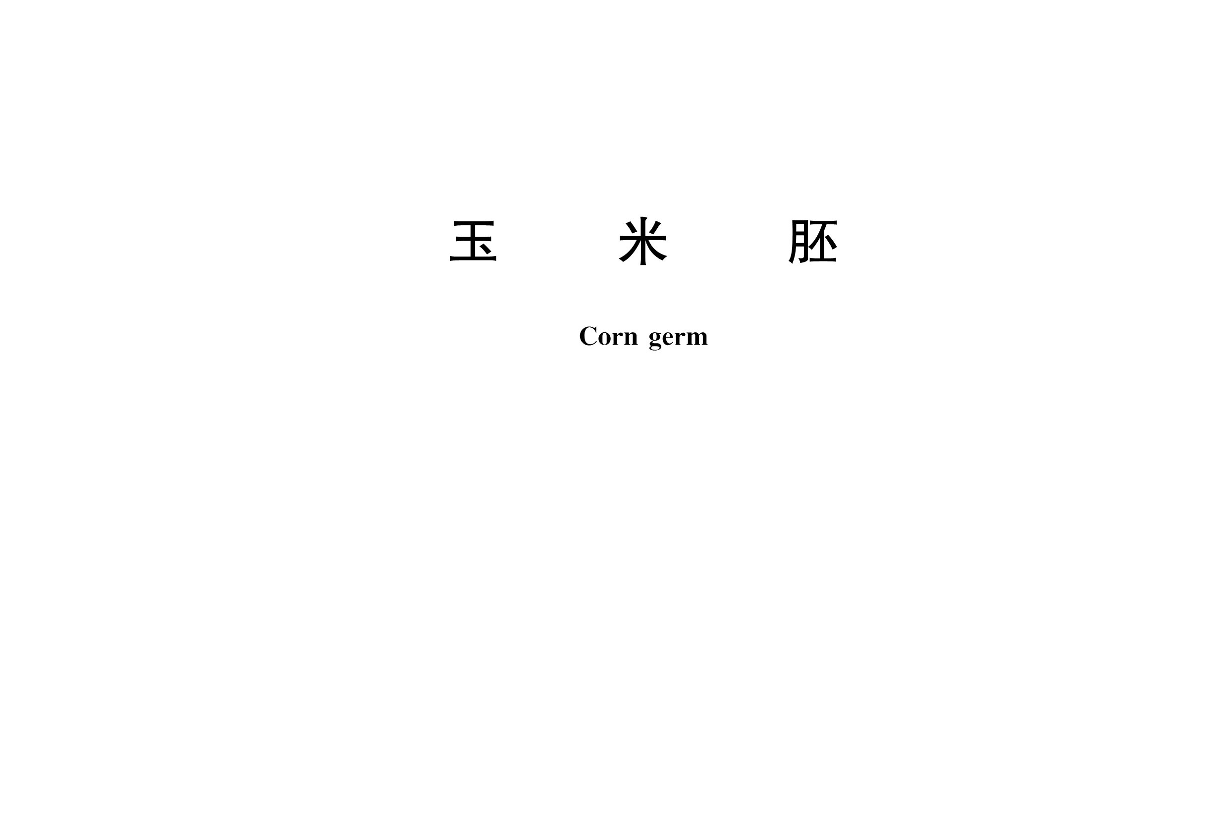 玉米胚