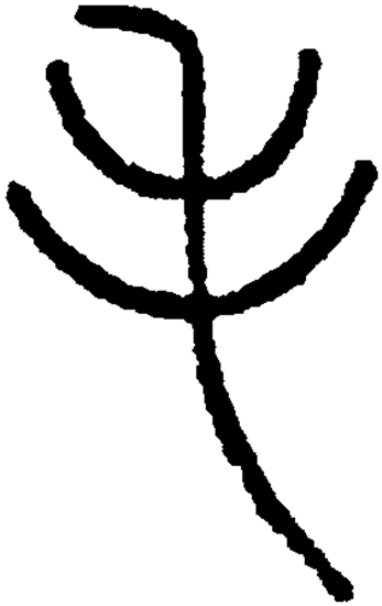毛