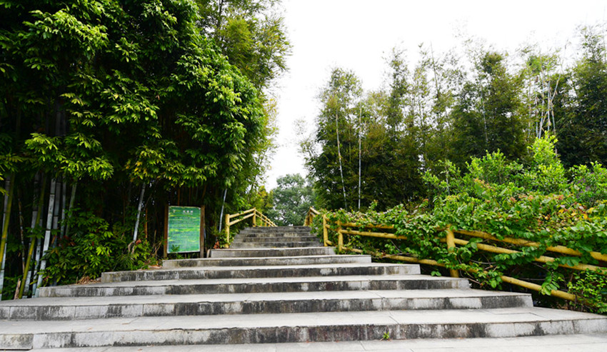 东江画廊风景区