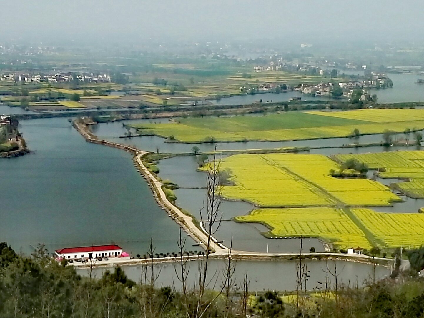 峨桥镇