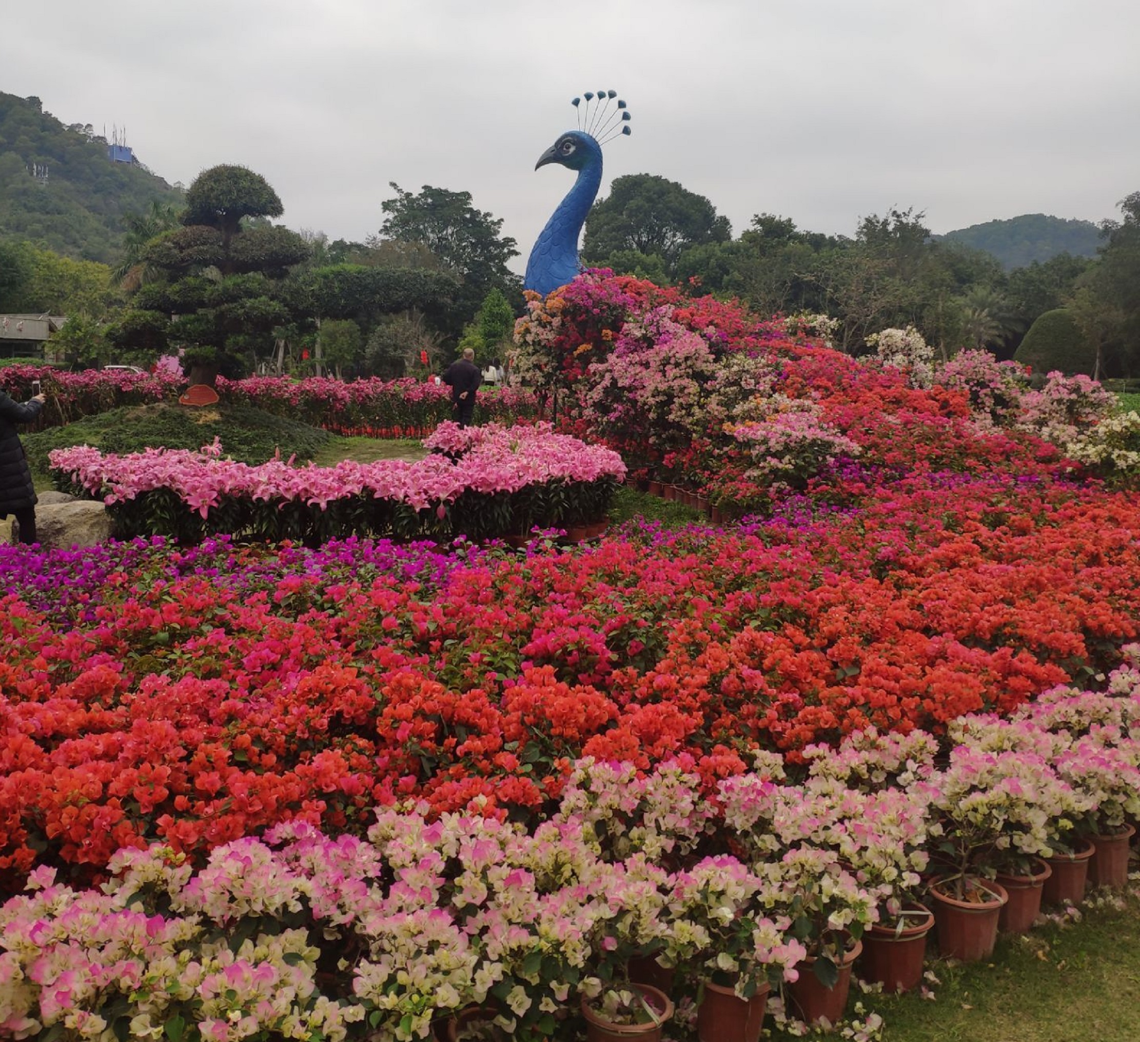 东南花都