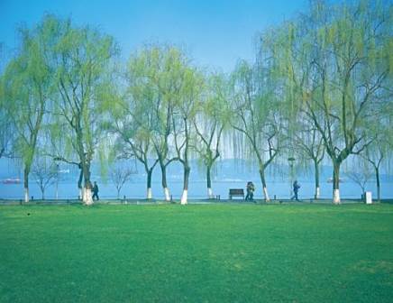 <p>柳浪闻莺