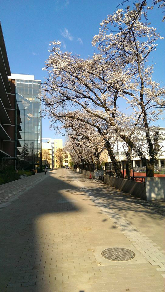  p>东京农业大学(日语:とうきょうのうぎょうだいがく,英语:tokyo