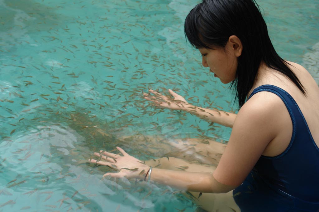  p>星子鱼又叫亲亲鱼,妙儿鱼,温泉鱼,鱼医生,土耳其青苔鼠.