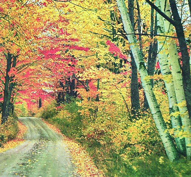 temperate climate