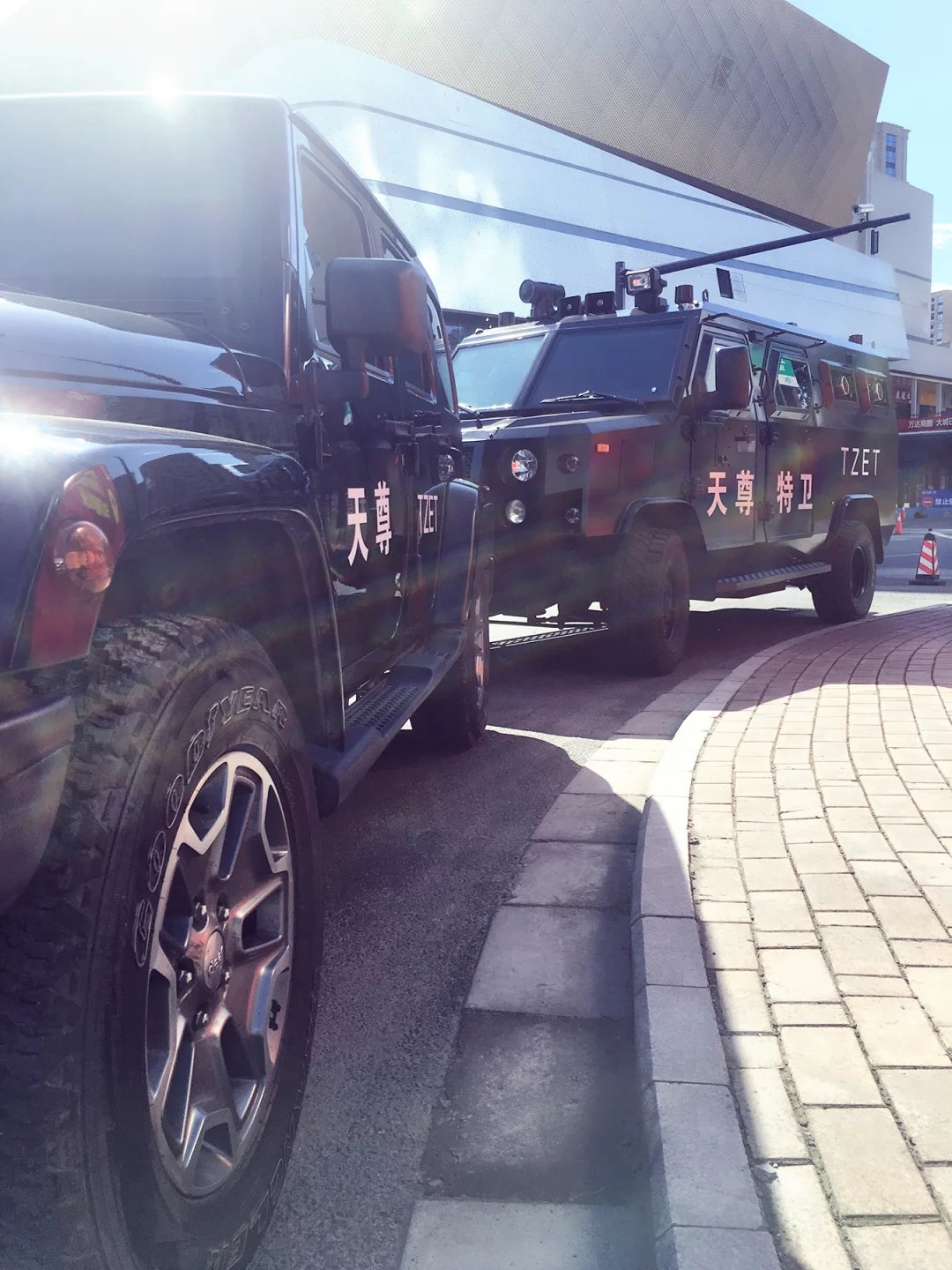  p data-id="go198ydnkq">浙江天尊保安服务有限公司,简称天尊保镖