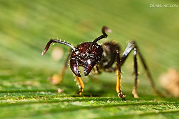 thnvqjwsnh8f"><span class="ref" data