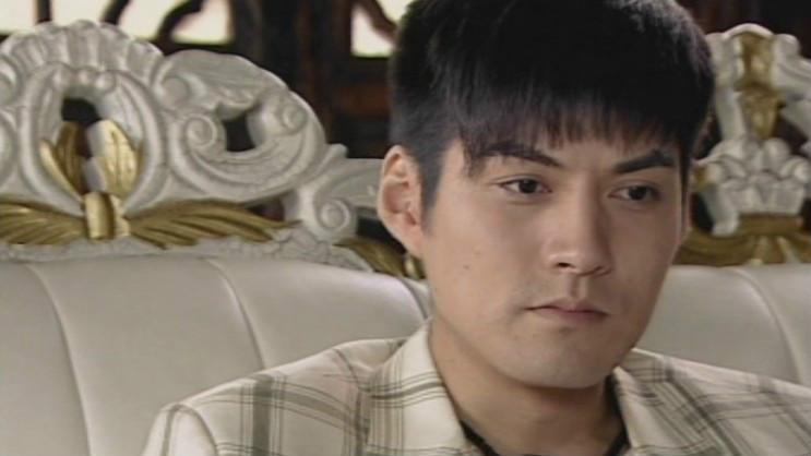 执导, a href="#" data-lemmaid="9794812">严屹宽 /a>主演的电视剧