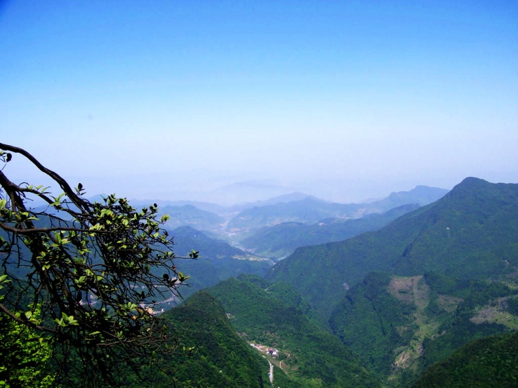 金佛山