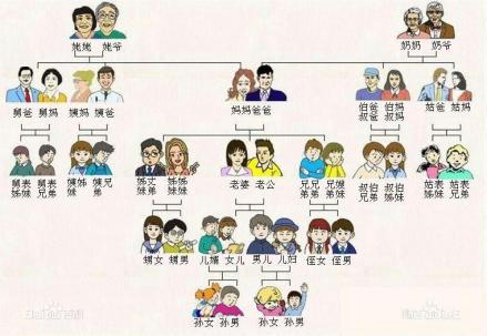 中国人亲戚关系图表_百度百科