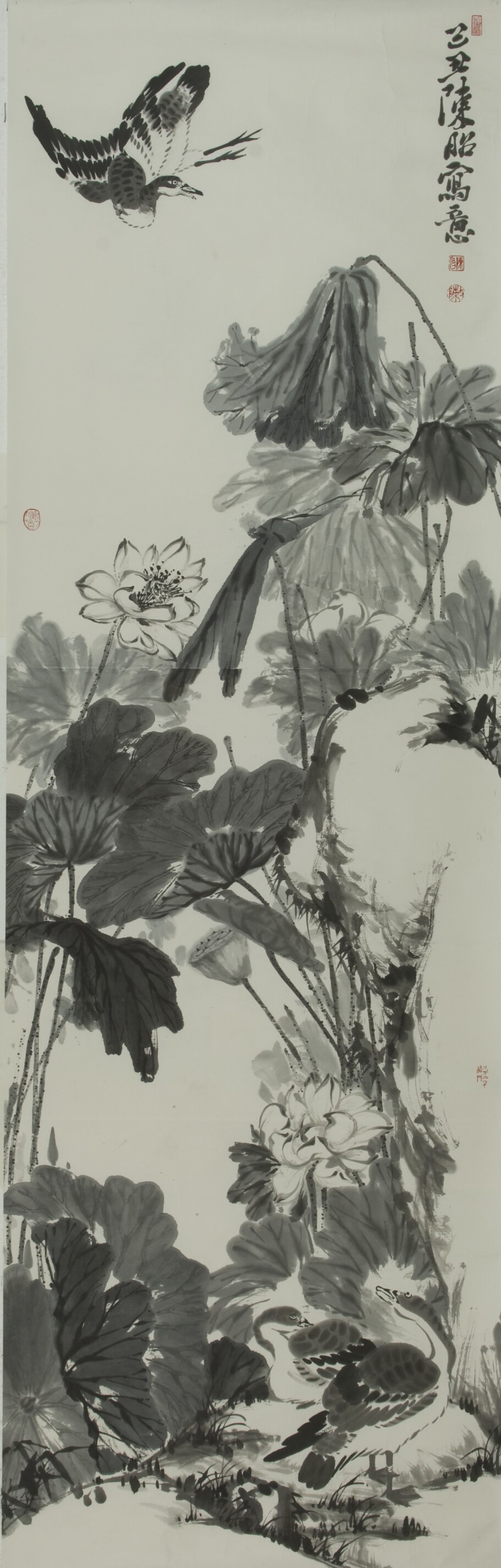 林白