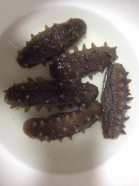 威海野生刺参_百度百科