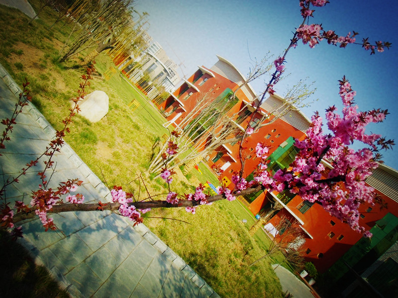 北京哈佛摇篮济宁国际幼儿园