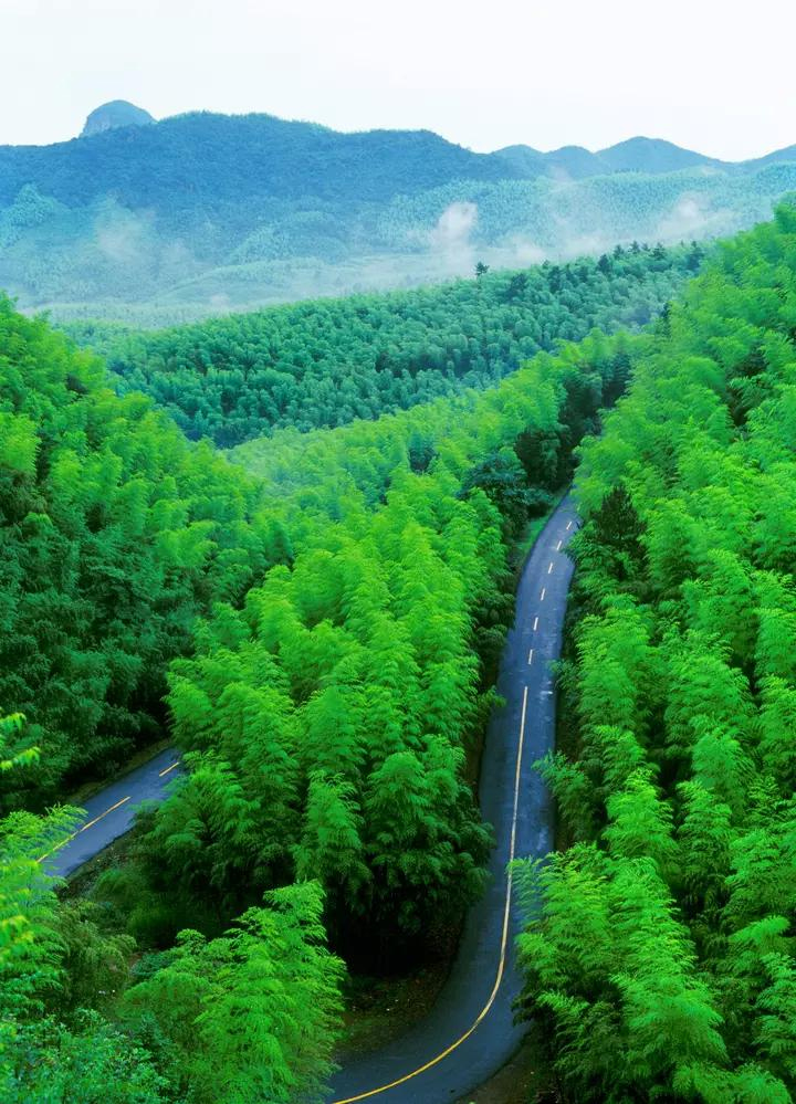  p data-id="gnb36mupbr">高家堂风景区地处浙江安吉县山川乡,是云上