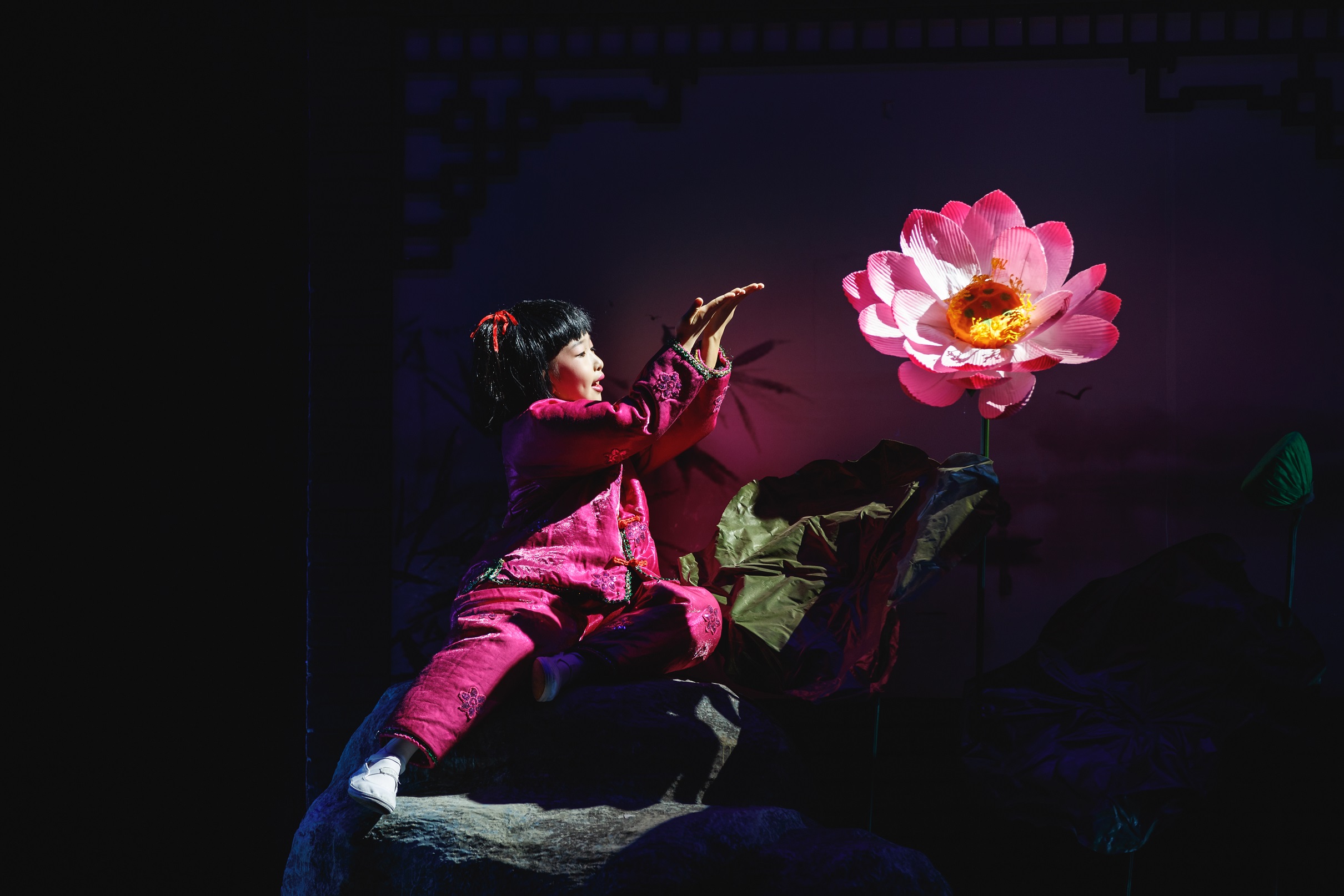 小荷风采全国少儿舞蹈展演