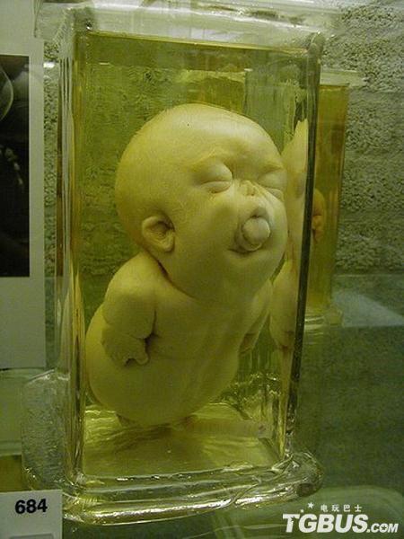 美国费城马特博物馆