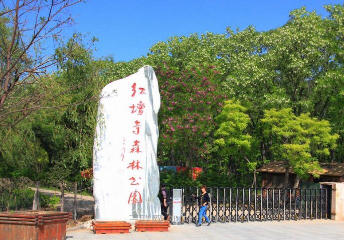 红坛寺森林公园位于鲁北平原, a target="_blank" href="/item/德州