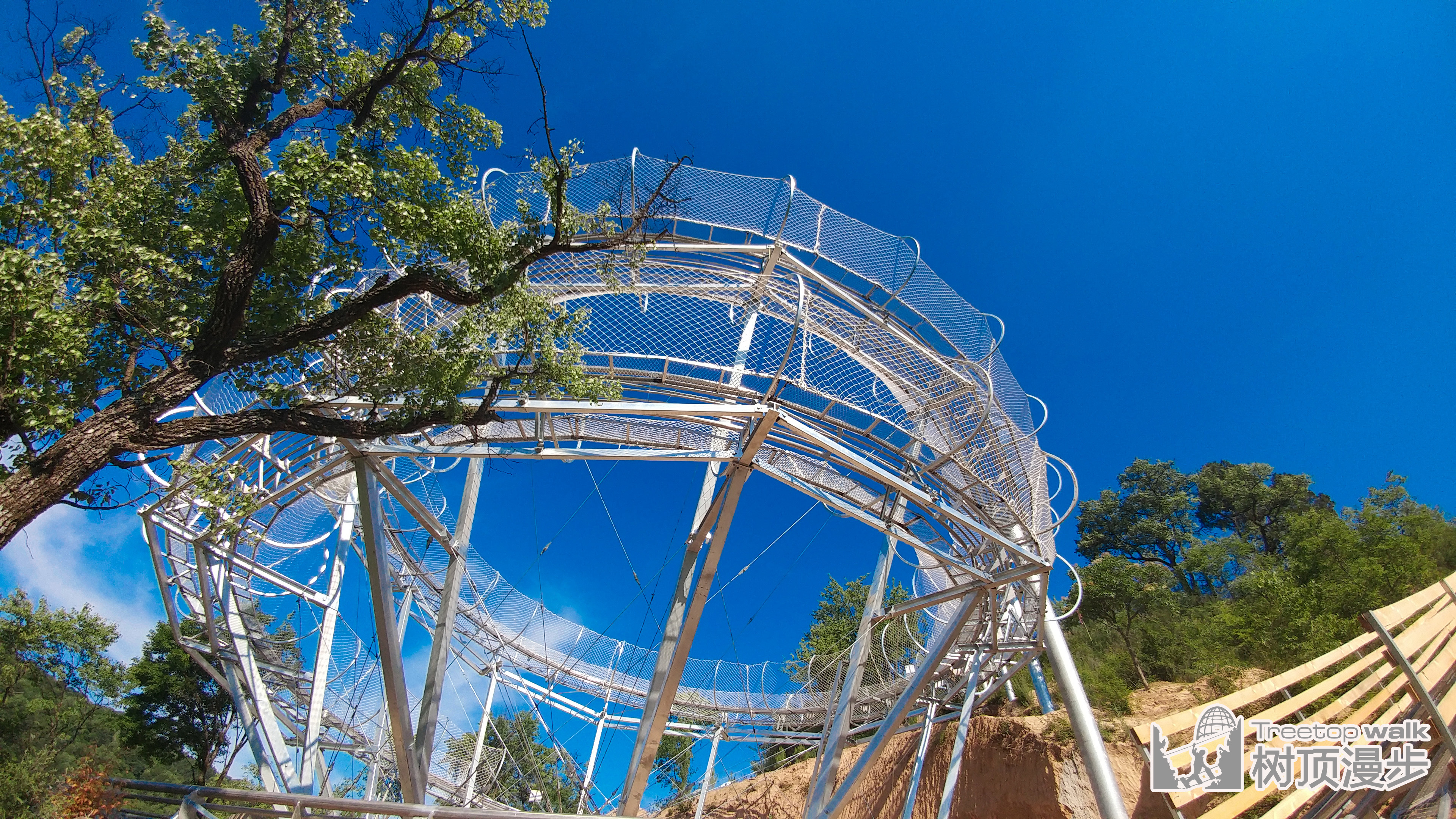 树顶漫步