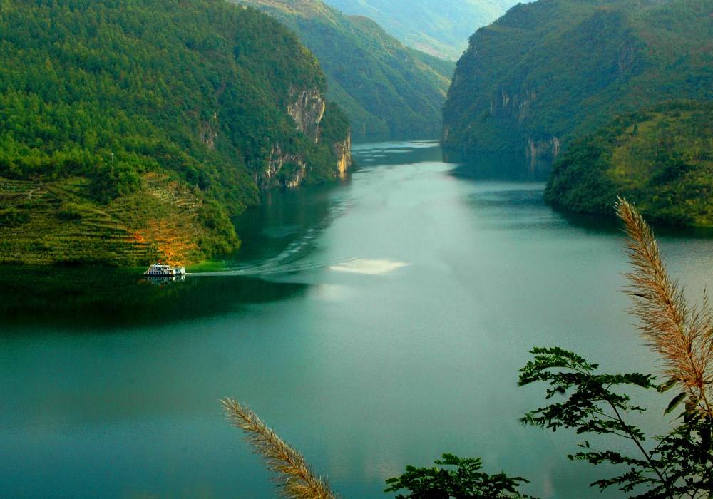  p>白龙湖银鱼, a target="_blank" href="/item/四川省">四川省 /a> 