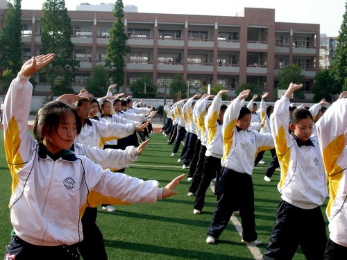 龙拳 中国传统武术拳法 百度百科