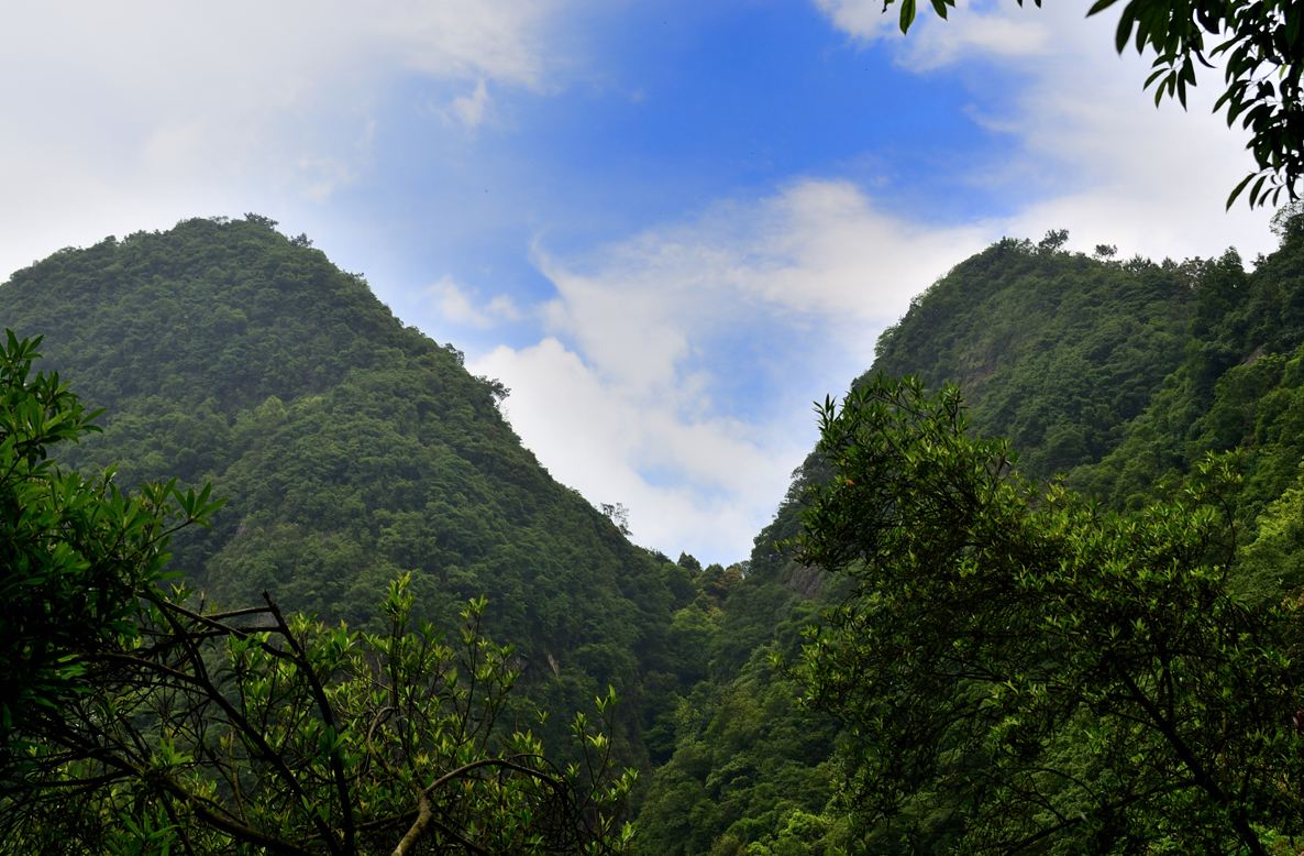 紫荆山