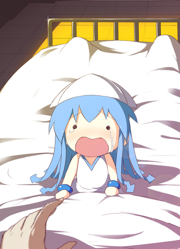 侵略乌贼娘第二季
