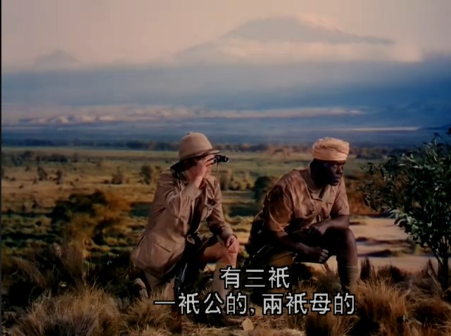 乞力马扎罗的雪thesnowsofkilimanjaro(1952)