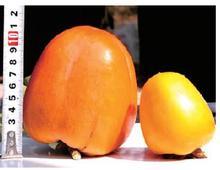 太空育种即航天育种,也称空间 a target="_blank" href="/item/诱变