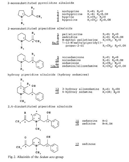 检出的生物碱，图片版权属于斯普林格出版社
