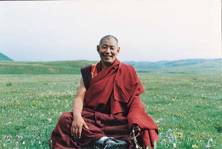 尼玛降称仁波切