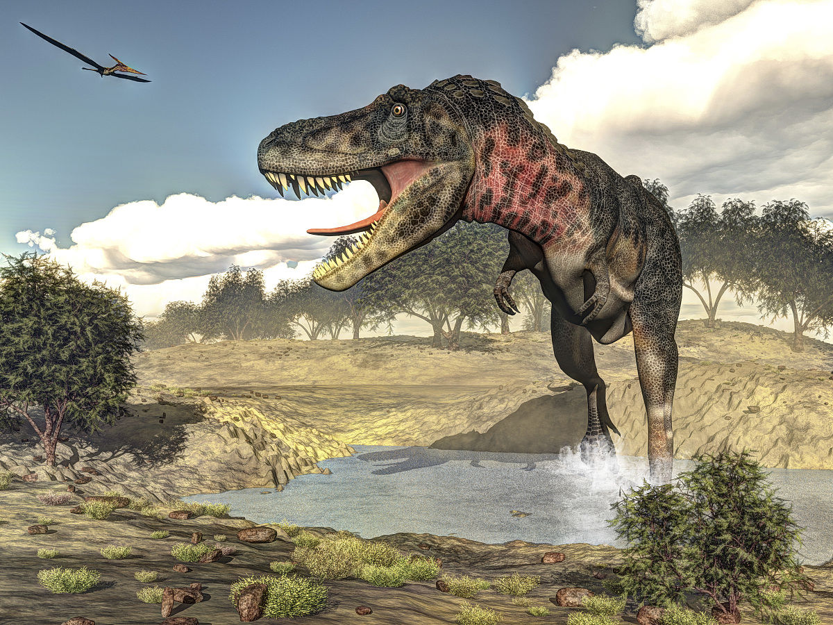 data-lemmaid="1653504">模式种 /a>雷克斯暴龙(tyrannosaurus rex)或
