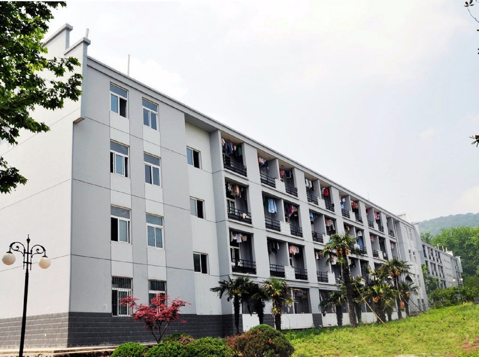  p>安徽林业职业技术学院(anhui vocational and technical college