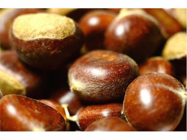 ">日照市 /a> a target="_blank" href="/item/五莲县/2460128" data