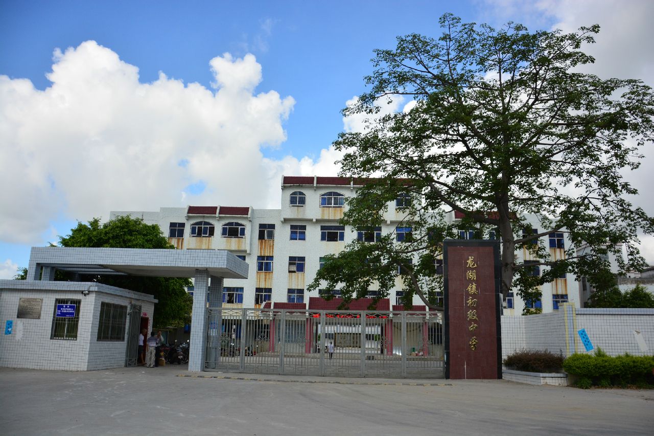 龙湖初级中学