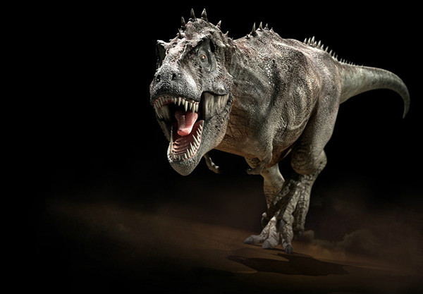p>暴龙(学名:tyrannosaurus)又名霸王龙,目前唯一的有效种是 a href=