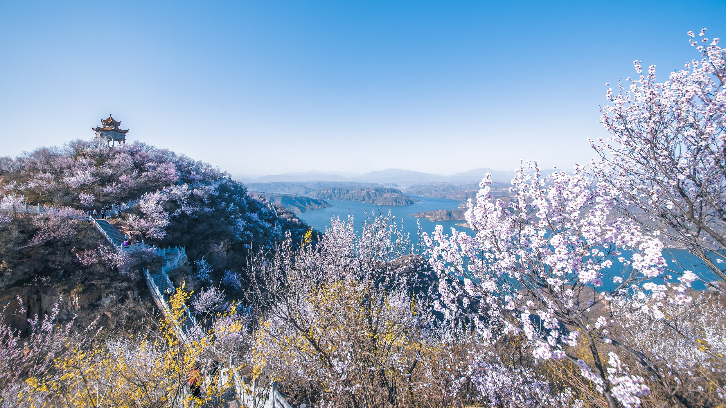 荆紫山