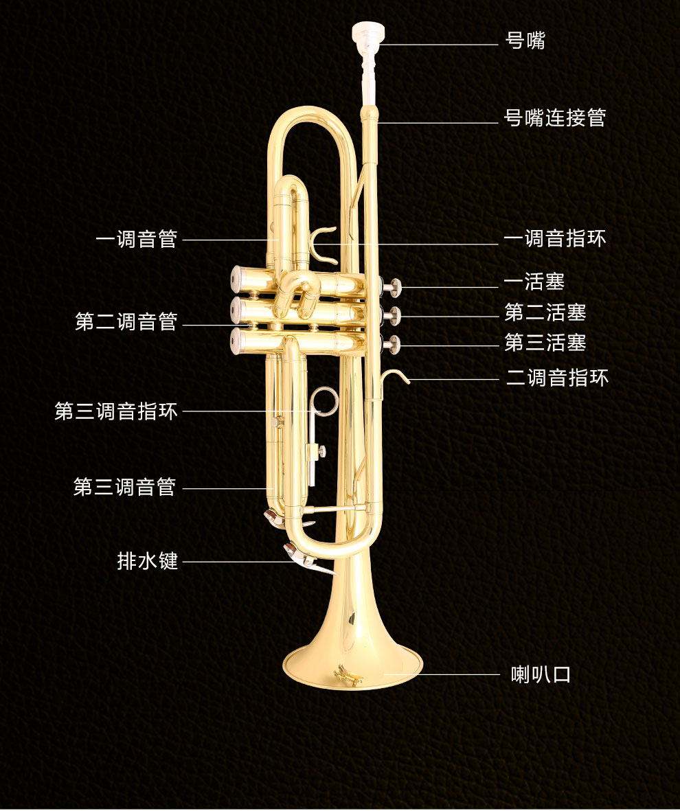 ">小号(英文名: a target="_blank" href="/item/trumpet/20629553"