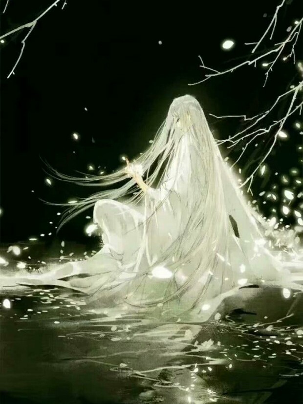 凤王·她的罪孽