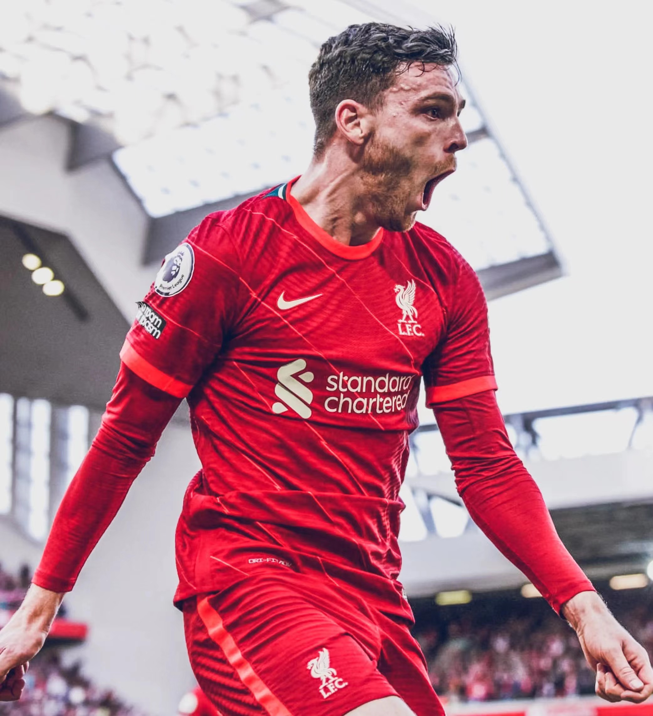 安德鲁·罗伯逊