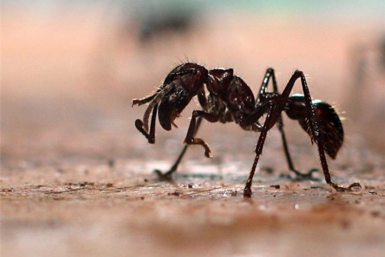 thnvqjwsnh8f"><span class="ref" data